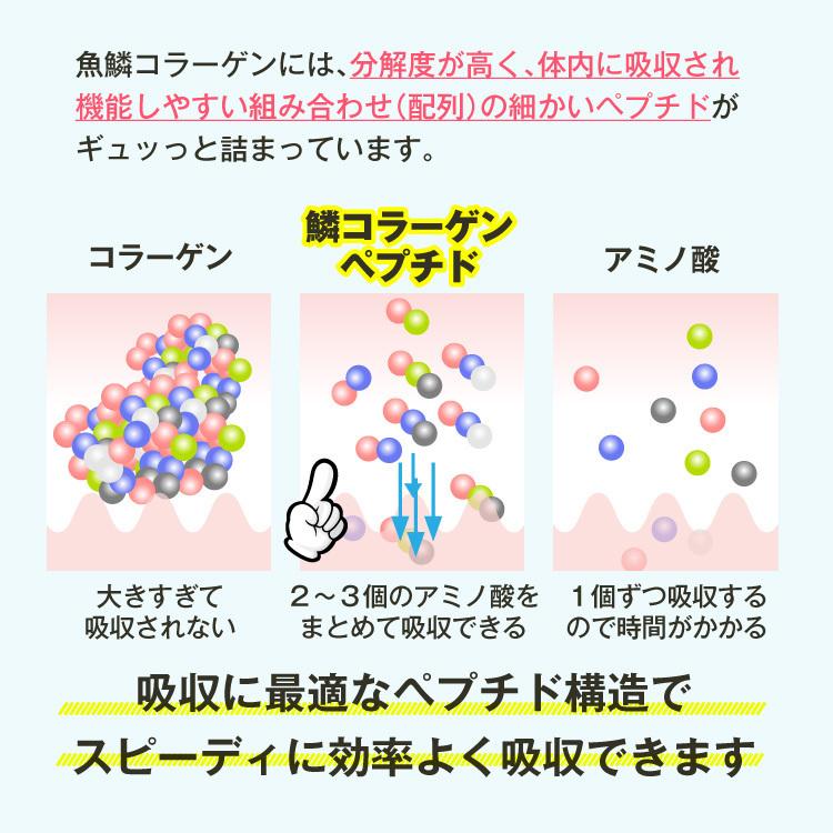 神のコラーゲンプルオイ 玉ねぎスープ 10食入り 淡路島たまねぎ100%使用