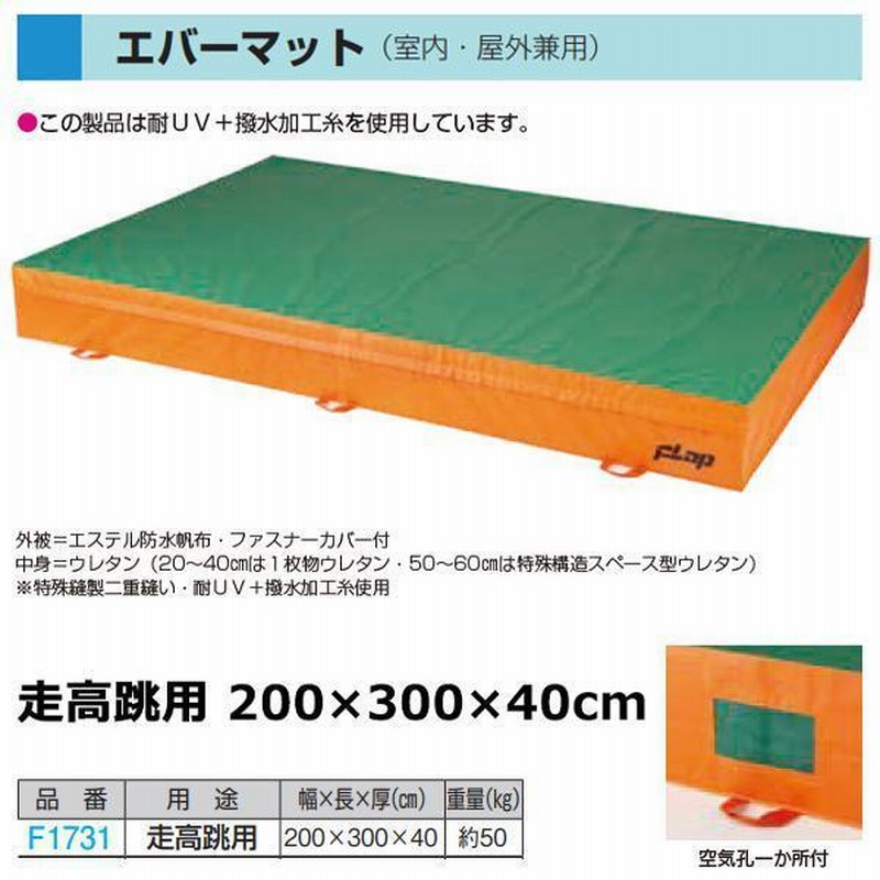 84%OFF!】 抗菌屋内エバーマット200×300×30