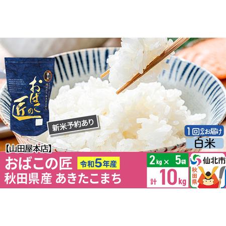 ふるさと納税 令和5年産 仙北市産 新米予約 おばこの匠 10kg（2kg×5袋）秋田県産あきたこまち 秋田こまち 秋田県仙北市