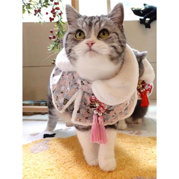 貓咪新年裝梅花唐裝斗篷披肩過年喜慶寵物春節披風英短美短貓圍脖