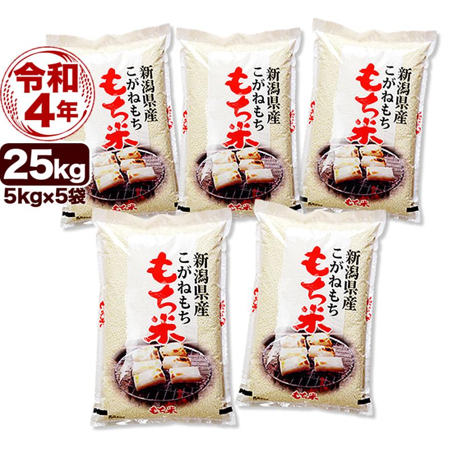 新米 白米 25kg こがねもち米 令和5年産 新潟産 白米 5kg×5袋 送料無料 （北海道、九州、沖縄除く）