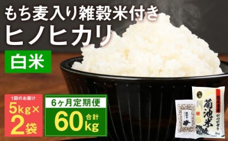 熊本県菊池産 ヒノヒカリ 精米 計60kg(10kg×6) もち麦入り雑穀米 計2.4kg(400g×6) 米 お米 低温保管 残留農薬ゼロ