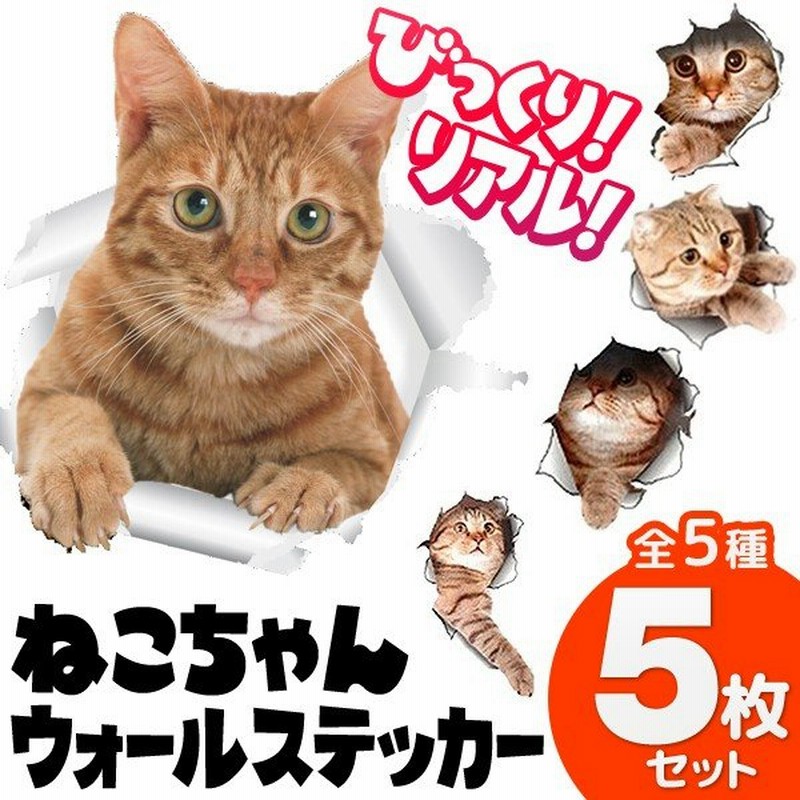 猫ステッカー 5種セット とびだす猫タイプ Big ウォールステッカー 5枚入セット ねこが近くに居るみたい 立体3d キャットシール インテリア雑貨 とびだす猫dl 通販 Lineポイント最大0 5 Get Lineショッピング