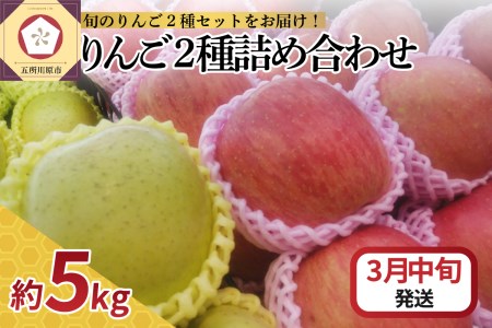  りんご 5kg サンふじ 王林 他 紅白 詰め合わせ 青森