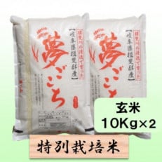 特別栽培米 20kg(夢ごこち)