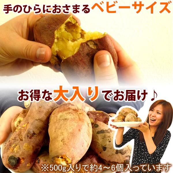 焼き芋 冷凍 人気 紅はるか やきいも 冷凍焼き芋 500gセット スイーツ さつまいも 送料無料 あすつく 安納芋 より 人気