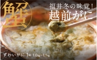 福井冬の味覚！越前がに 1杯  1.0～1.1kg  [J-00906]