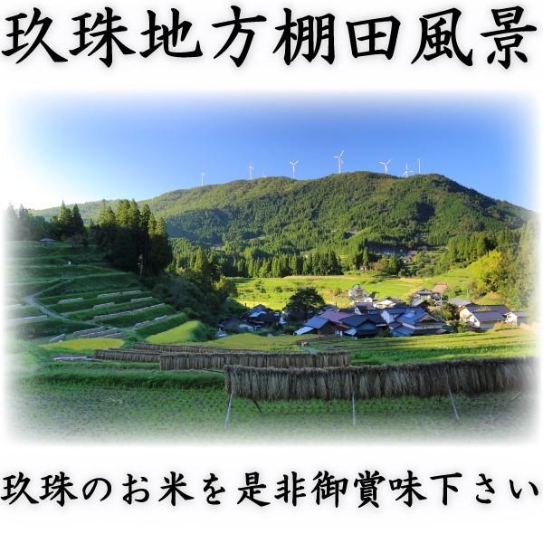 お米 米 10kg 白米 大分県 玖珠産 ひとめぼれ 高級米 あすつく 新米 令和5年産 5kg2個  棚田米 富田商店 とみた商店