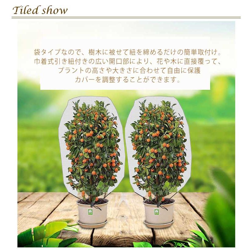 虫よけネット セット 防虫ネット 植物保護カバー 防虫網 防虫シート 農業用 防鳥ネット 花壇適用 虫鳥除け網 虫ネット 園芸 菜園 野菜