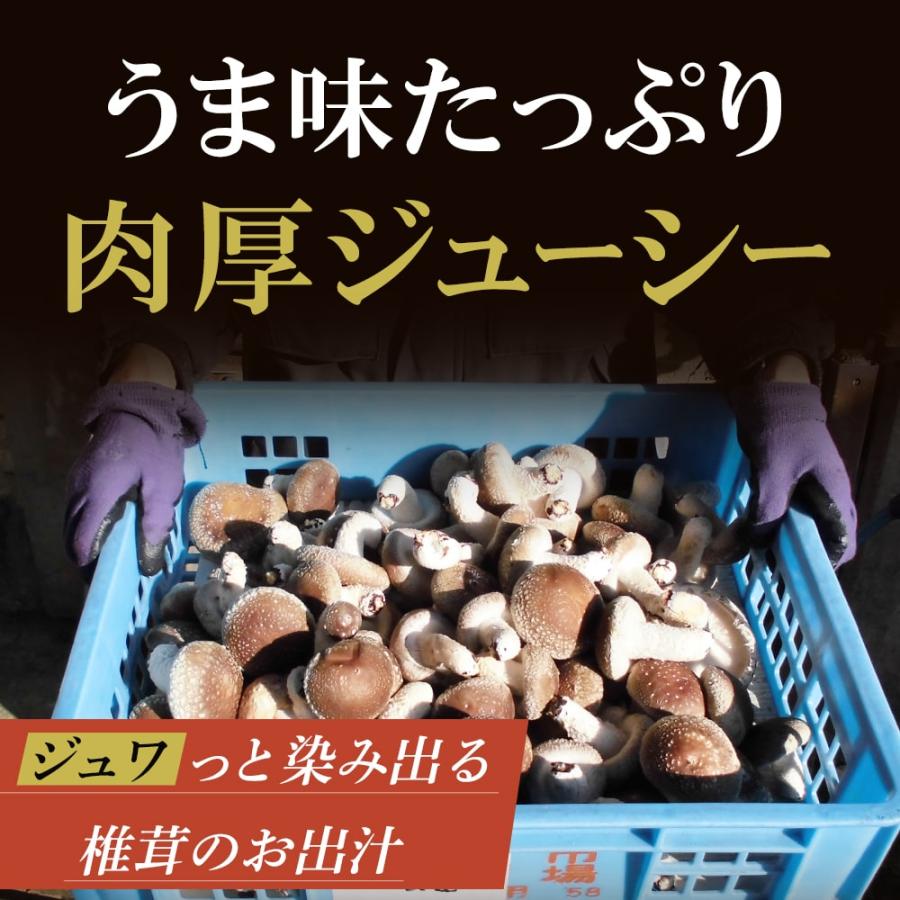 飛騨産 ピリッと！椎茸のうま煮 しいたけ シイタケ 煮物 甘辛 ご飯の友 ご飯のお供 (ポスト投函-4)