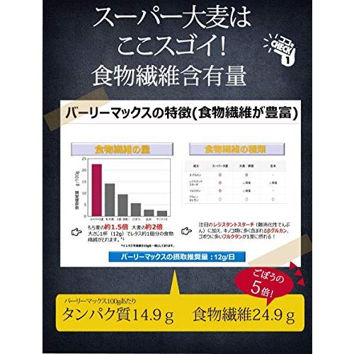 スーパー大麦　バーリーマックス 700g 食物繊維がもち麦の2倍 レジスタントスターチ 大麦 もち麦 玄麦 腸活 雑穀 はと麦 オーツ麦 玄米 より