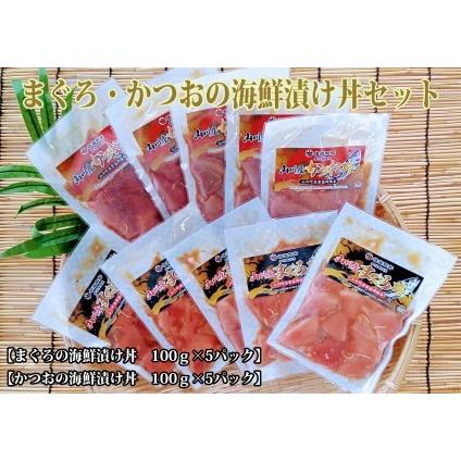 ふるさと納税 まぐろ・かつおの海鮮漬け丼セット100g×10パック(山川町漁協 A-419)おうちでパッと海鮮丼！【 海鮮 海鮮.. 鹿児島県指宿市