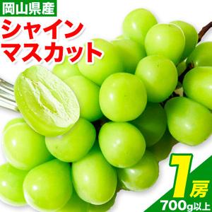 ふるさと納税 シャインマスカット 1房 700g ウィズフラワーホールディングス《9月上旬-10月中旬頃出荷》岡山県 浅口市 ぶどう マスカット フルー.. 岡山県浅口市