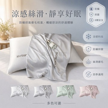 台灣出貨✨ 水洗冰絲枕套 夏季透氣枕套 防頭油枕套 48x74cm單人枕套 親膚涼感枕套 宿舍家用枕套 純色簡約設計