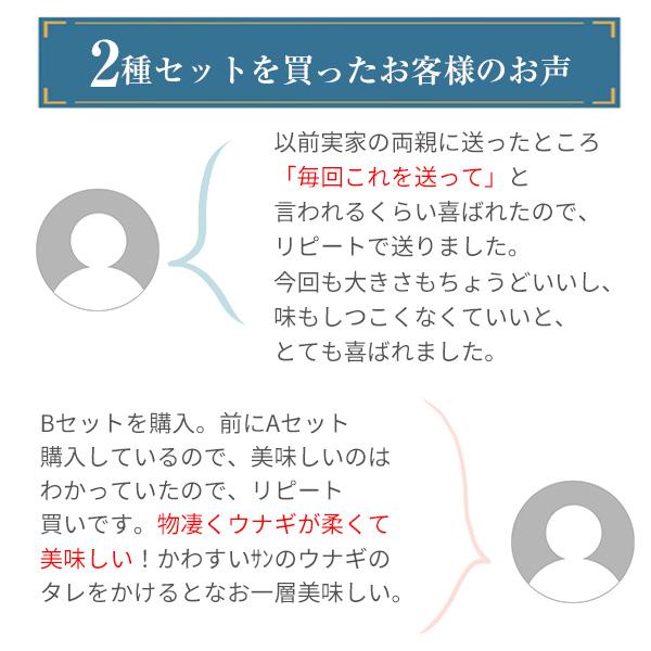 うなぎ 蒲焼き 国産 選べる2種 ウナギ 鰻 蒲焼 送料無料 ギフト お歳暮 御歳暮