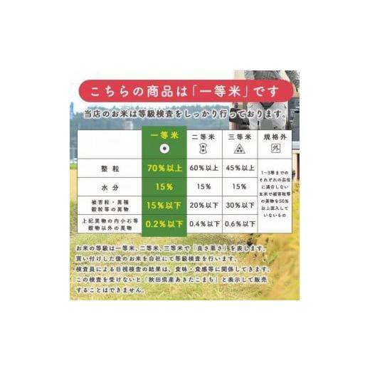 ふるさと納税 秋田県 潟上市 令和5年産 秋田県産 あきたこまち5kg×6か月