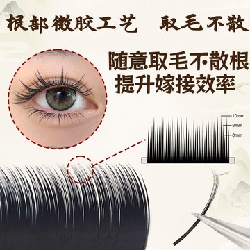 🧡Hannah💛新款漫畵0.07山茶花嬰兒彎多取不散根嫁接上睫毛美睫店專用狐係泰式款純欲暗色係貼甲