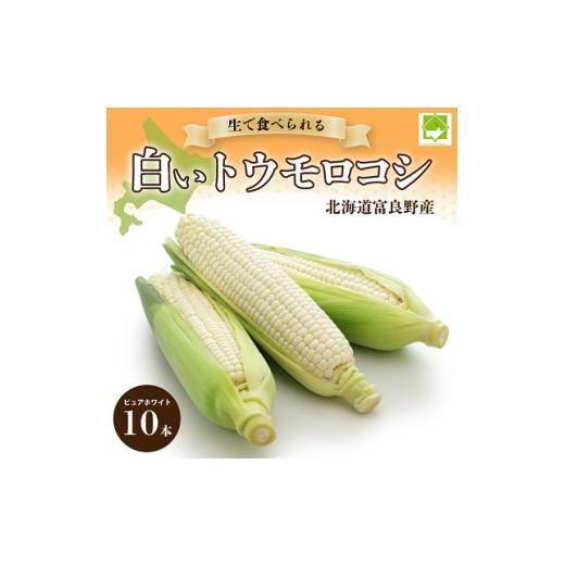 ふるさと納税 北海道 富良野市 2024年発送＜北海道富良野産＞生で食べられる 白い トウモロコシ ピュアホワイト 10本入り とうもろこし コーン 野菜 人気 ラ…