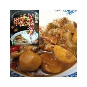 やまがた「いも煮カレー」山形の郷土料理使用！ご当地カレー(レトルト食品)