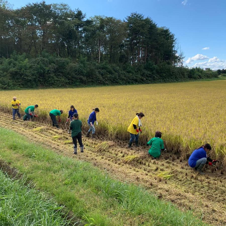 新米 青森県産 まっしぐら 玄米5kg 令和5年産 古代米お試し袋付き