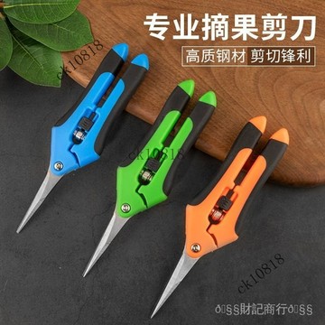 ✨可開發票#多功能進口剪刀葡萄粒摘果剪不銹鋼省力園林花藝剪子修枝剪園藝剪#免運費