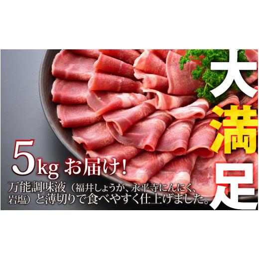 ふるさと納税 福井県 福井市 あの焼肉屋さんのスライス豚タン！【5kg 300枚 肉 お肉 豚肉 うす切り スライス タン 焼肉 アウトドア BBQ バーベキュ…