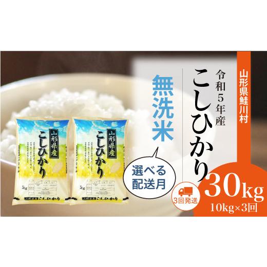 ふるさと納税 山形県 鮭川村 令和5年産　鮭川村　コシヒカリ30kg定期便（10kg×3回発送）