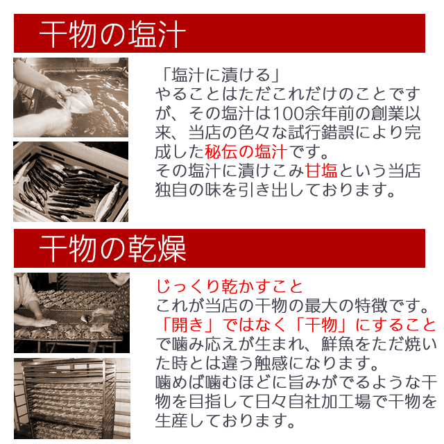 送料無料♪小田原ひもの「山市」干物詰め合せ～人気の５種１０枚の干物セットです。