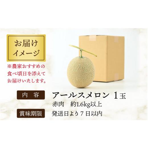 ふるさと納税 福井県 あわら市 アールスメロン 1玉（約1.6kg以上）青肉品種 高級メロン！ ／ マスクメロン 大玉 果物 フルーツ 夏 ギフト…