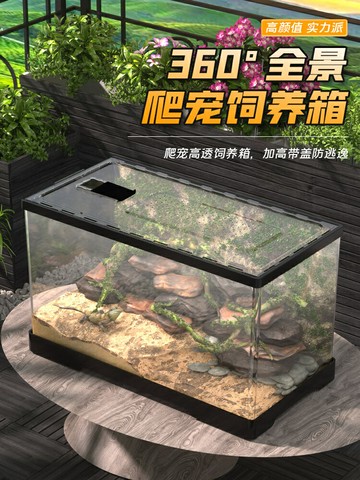 鬃獅蜥蜴飼養箱 pvc角蛙蛇蜘蛛刺猬爬寵飼養盒寄居蟹箱烏龜缸