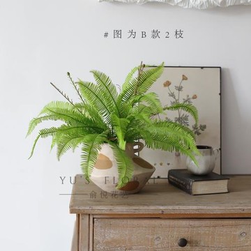 仿真植物排草家居裝飾綠色花藝葉材蕨類單枝室內攝影舞蹈酒店道具