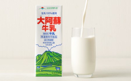 大阿蘇牛乳 1L×6本×12ヶ月 合計72L 紙パック 牛乳 成分無調整牛乳 常温保存可能