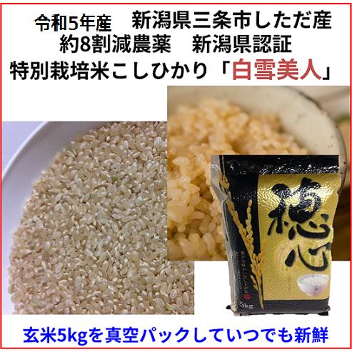 令和5年産新米　減農薬　新潟コシヒカリ玄米20kg（真空パック）　新潟県三条市旧しただ村産　新潟県認証　特別栽培米100%　偽装も混米も無し　グルテンフリー