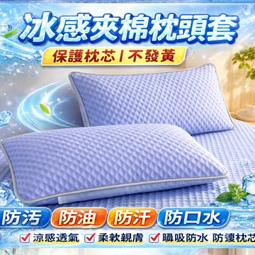 防口水枕套 夏日冰絲涼感枕套 枕頭保潔墊 防汗液防發黃枕頭套 鋪棉枕套 枕芯保護套 涼感枕頭套 48*74CM 學生枕套