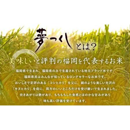 ふるさと納税 夢つくし 玄米 PREMIUMパック 24パック 福岡県直方市