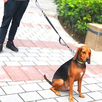 Woofy Woofy 延伸彈力繩 極致灰 延伸牽繩 寵物車用安全帶