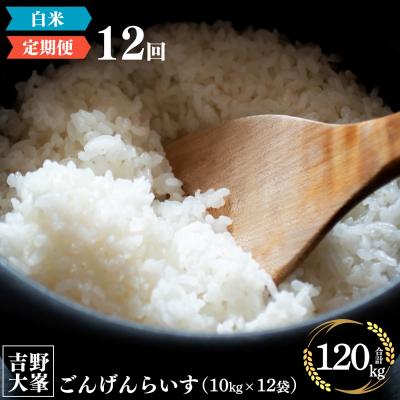 ふるさと納税 吉野町 奈良のお米のお届け便　10kg×1年分