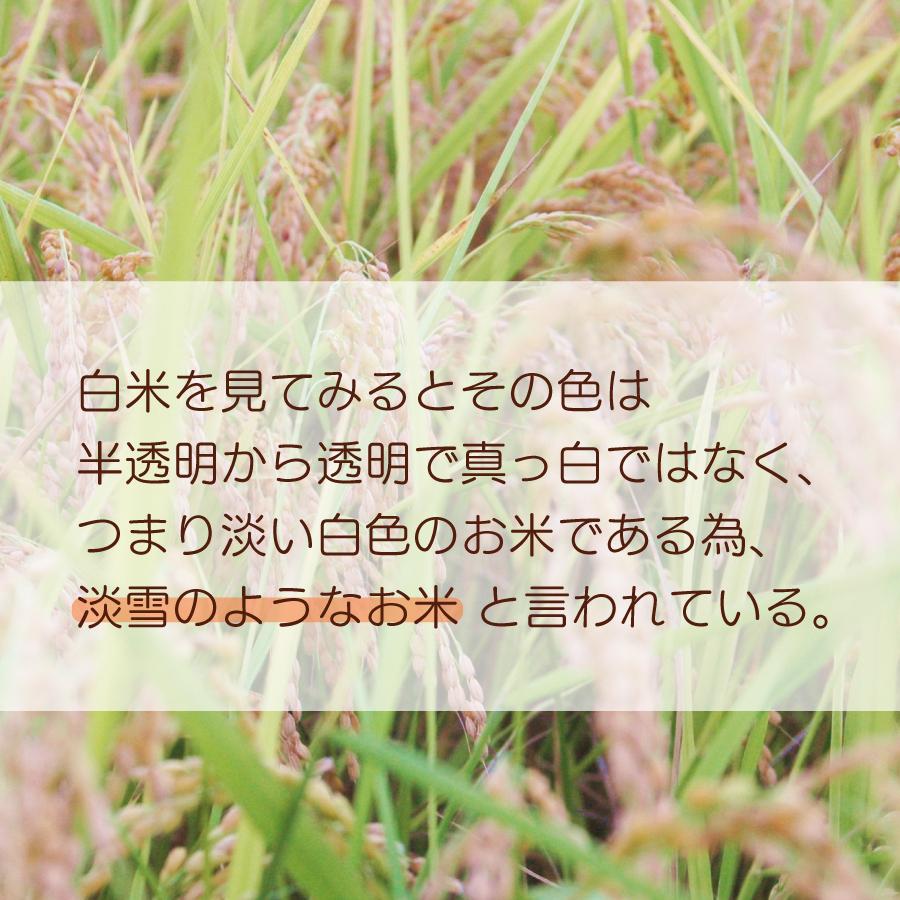 玄米 令和４年産 淡雪こまち ５kg 秋田県産 送料無料 国産 ギフト お米 お取り寄せ お試し 御中元 お中元 御歳暮 敬老の日 御礼 誕生祝い 御祝 返礼品