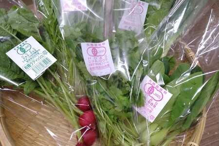 330.自然豊かな浜田市弥栄町で作られた「旬の野菜おまかせセット」(６回コース)