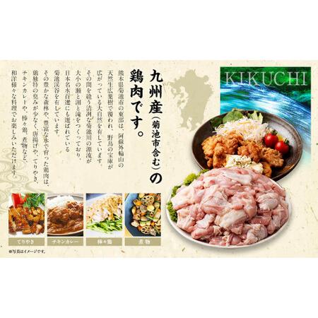 ふるさと納税 九州産 若鶏もも肉 (約310g×8袋) 約2.4kg 熊本県菊池市
