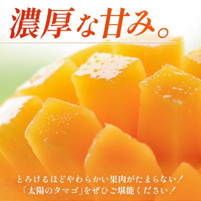 ふるさと納税 新富町 宮崎特産品　完熟マンゴー「太陽のタマゴ」2L×2個