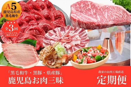 農家のお肉工場直送鹿児島お肉三昧定期便 027-93