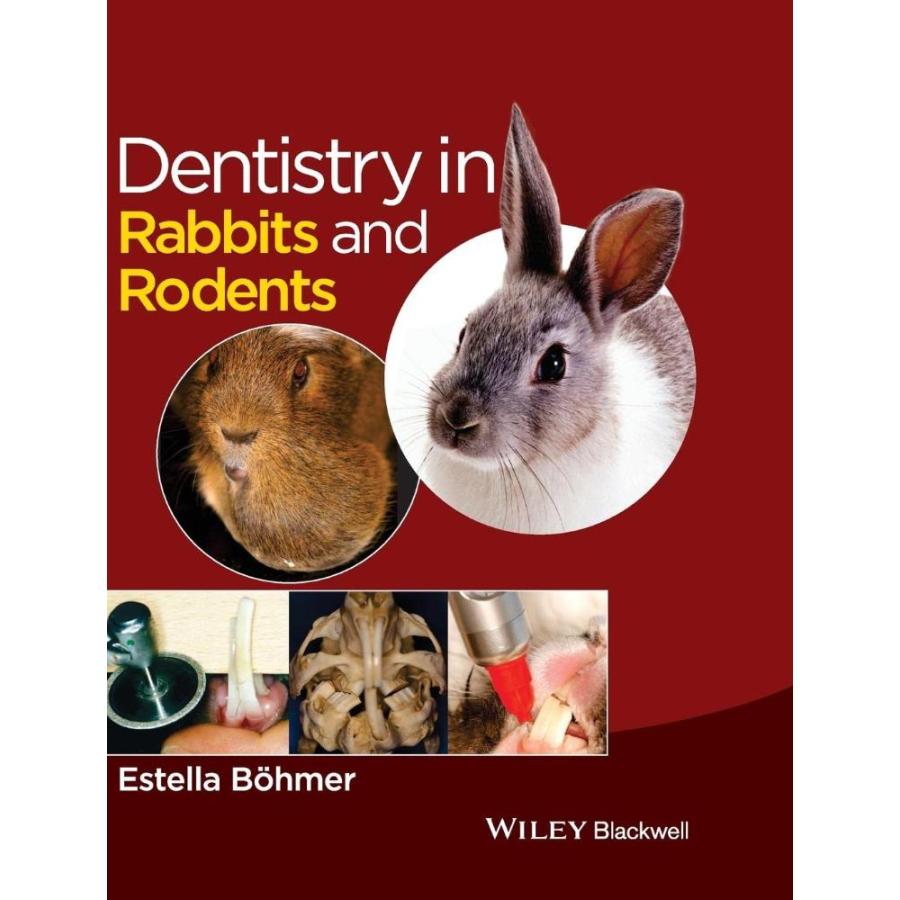 Dentistry in Rabbits and Rodents