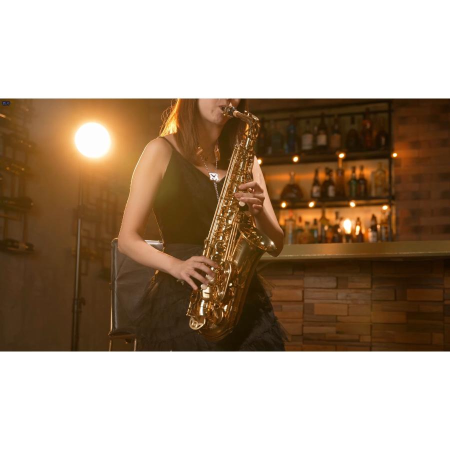 Eastar Tenor Saxophone Student Tenor Saxophone Bb Tenor Sax B Flat Gold Lacquer Beginner Saxophone With Cleaning Cloth,Carrying Case,Mouthpiec並行輸入