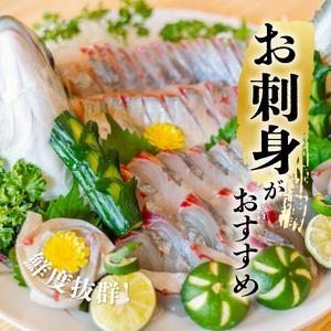 ふるさと納税 シマアジ 約1.5kg 1尾 しまあじ 縞鯵 高級魚 鮮魚 産地直送 冷蔵 養殖 国産 数量限定 徳島県海陽町