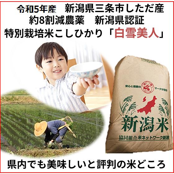 令和5年産新米　減農薬　新潟コシヒカリ玄米30kg 新潟県三条市旧しただ村産　新潟県認証　特別栽培米100%　偽装も混米も無し　白雪美人　グルテンフリー