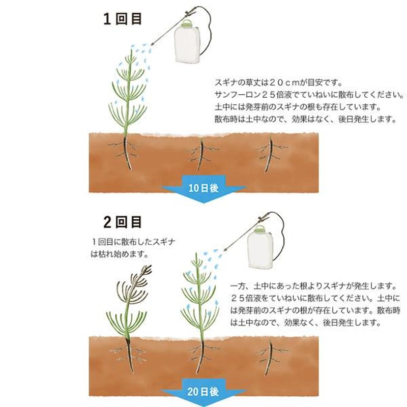 サンフーロン 除草剤 2L ラウンドアップのジェネリック農薬 除草 希釈