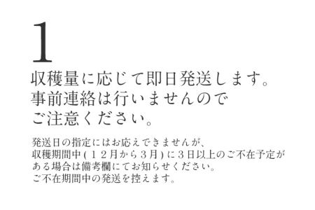 いちご 紅ほっぺ 4パックセット