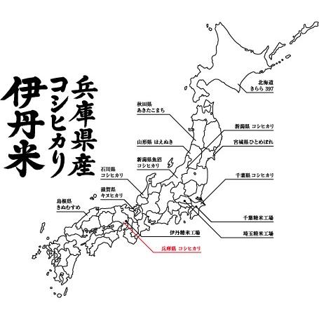 新米 コシヒカリ 5kg２袋 送料無料 お米 兵庫県産こしひかり 令和5年産 兵庫コシヒカリ 伊丹米 精米 ギフト   お歳暮 熨斗承ります