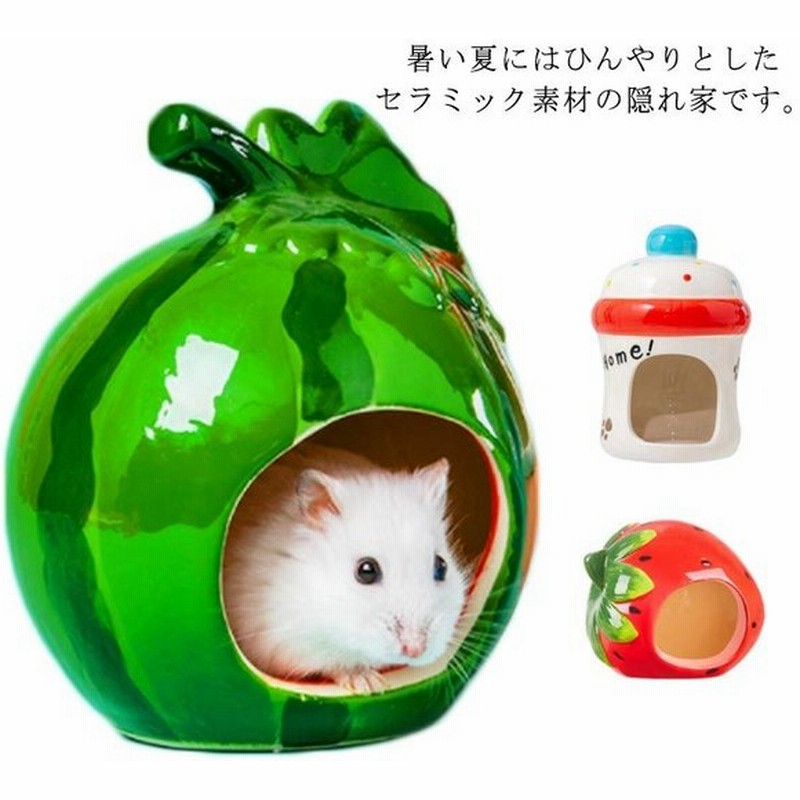 ハムスター ハウス 隠れ家 涼感ハウス ハムスター用 ハムスター 夏対策 陶器 小動物 可愛い おもしろ おうち おへや 寝床 日陰 日よけ 砂遊び 通販 Lineポイント最大get Lineショッピング